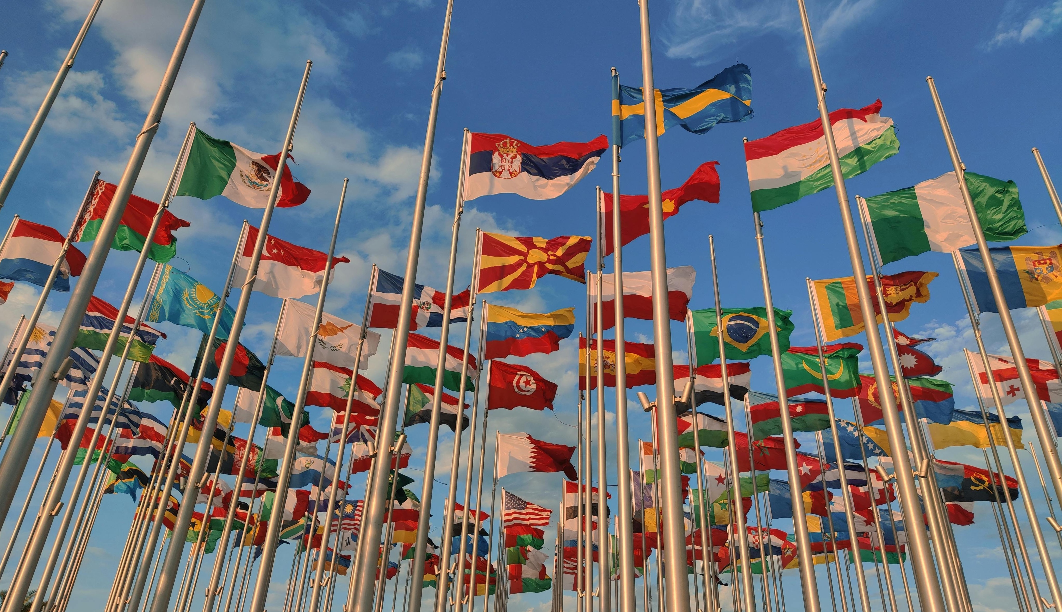 pexels-jerjer-1747571466-29303947