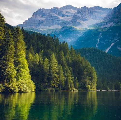 a lake is surrounded by pine trees and there are mountains behind the trees