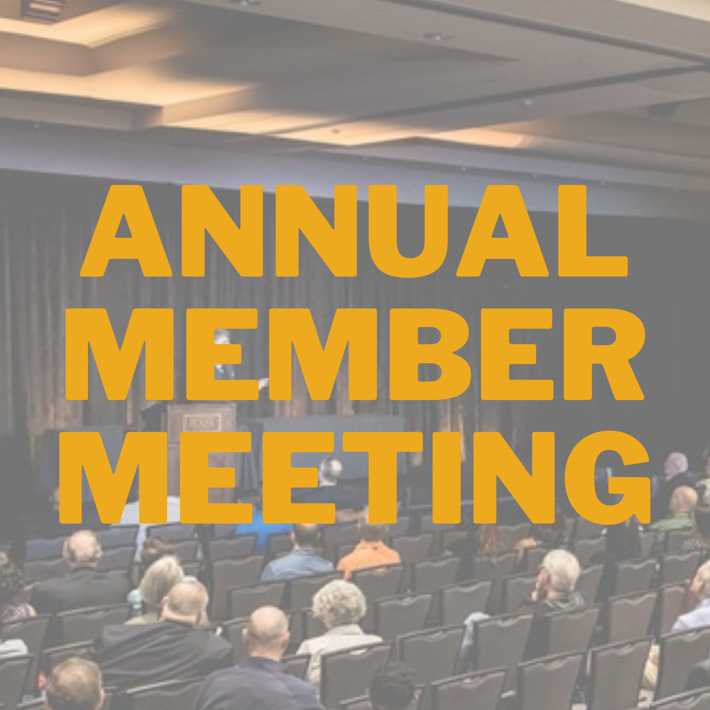 annual member meeting